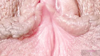 Orchidekitty cam sex chat live webcam show