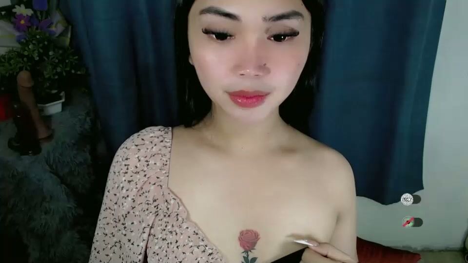 haylee_slut 31-Jan-2026