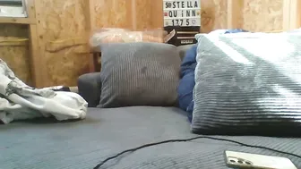 stellaquinn1775 31 January 2026