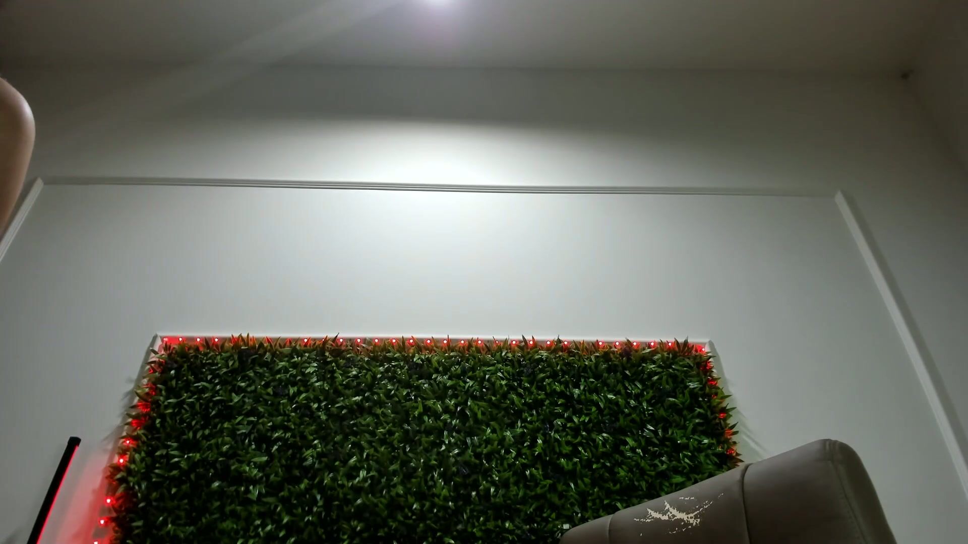 rania_wild natural cam show