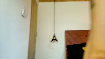 hanna_lee__ squirt 02-03-2026