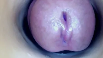 paulainoscente recorded nude video 664794