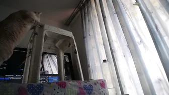 eolicasextwo recorded nude video 667456