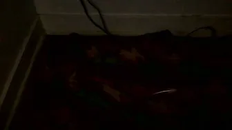 Cocochanel197941 amateur cam 07 February 2026