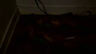 Cocochanel197941 amateur cam 07 February 2026