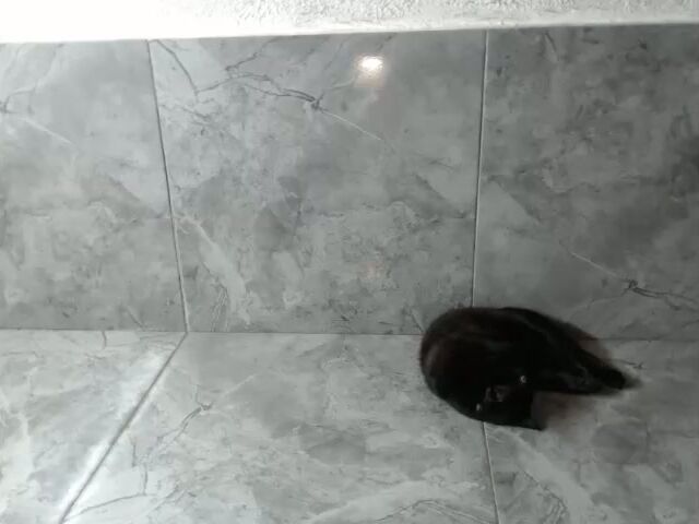 valeriya1313937162 amateur cam video 07-Feb-26