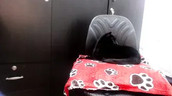 kittykalor porn cam chat (02-10-2026)