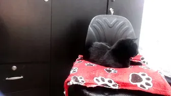 kittykalor recorded nude video 684269