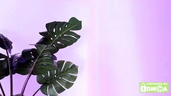 Ashllovee_ asian - 10-Feb-26