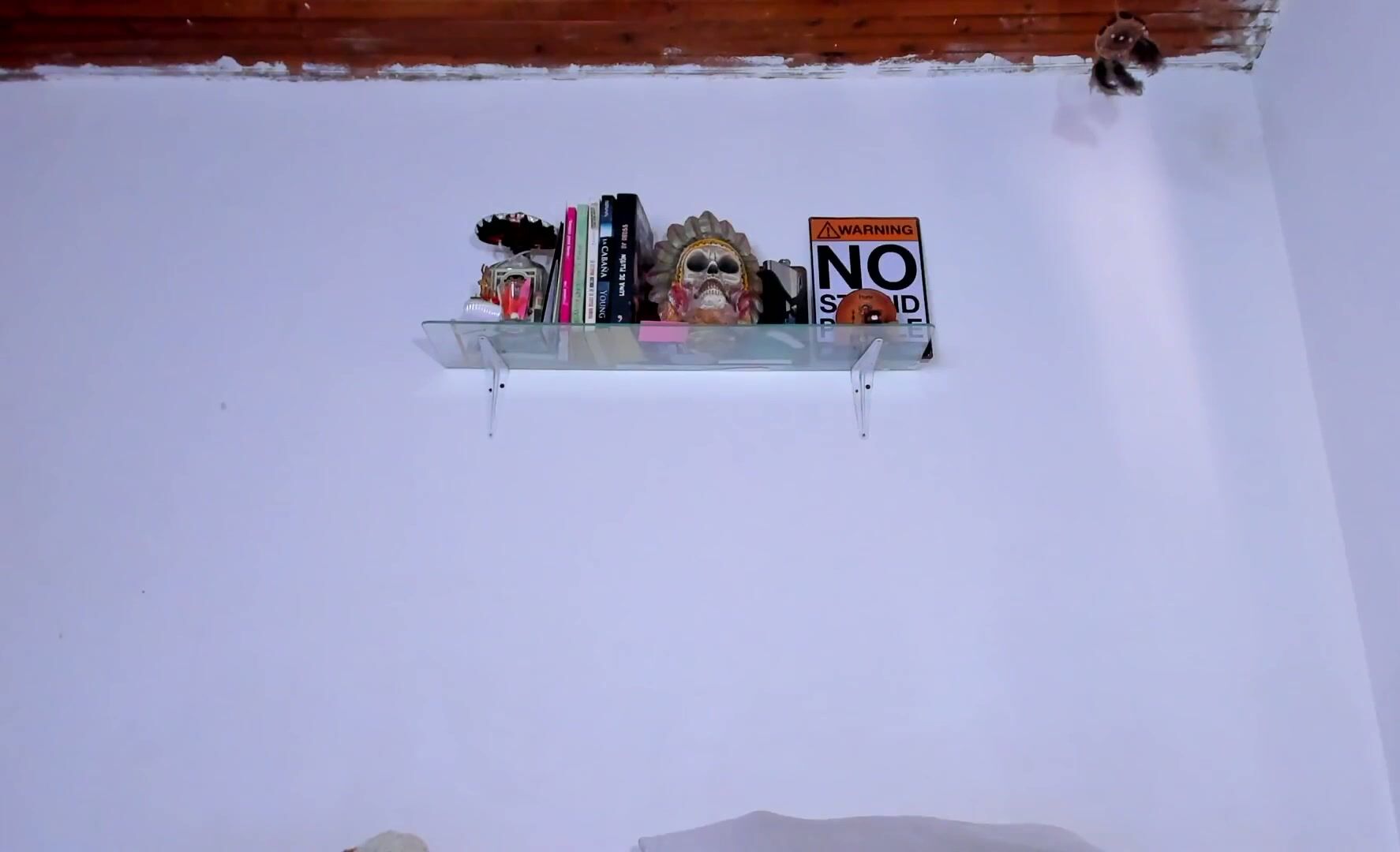 Carolina_ml saliva - (02-11-2026)