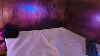 Shelly_bat (02-12-2026)