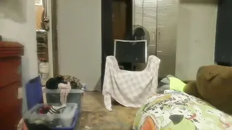 Molotovfoxtail babe chat girl porn