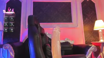 prettybullet 12-Feb-26