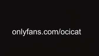 ocicat 2024-10-19 03:27:00