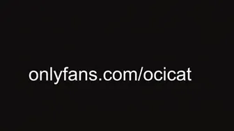 ocicat 2024-10-19 03:27:00
