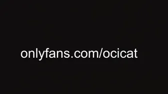ocicat 2024-10-19 03:27:00