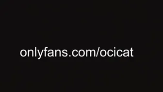 ocicat 2024-10-19 03:27:00
