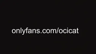 ocicat 2024-10-19 03:27:00
