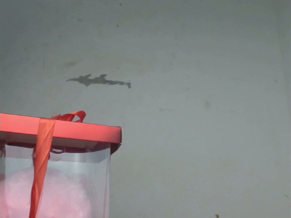 Cornxcunt sex video 14 February 2026