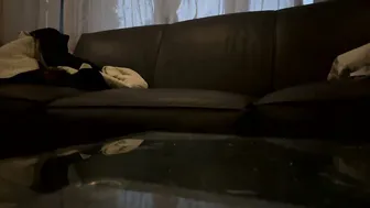 Sexyshavenboi stream 14 February 2026