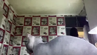 call_me_dad_ recorded nude video 703677