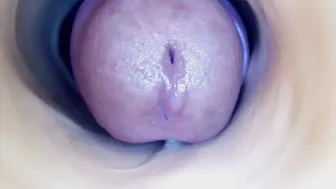 paulainoscente recorded nude video 704286