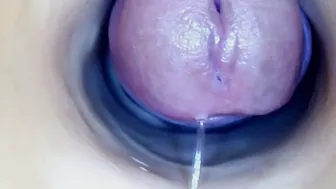 paulainoscente recorded nude video 704829