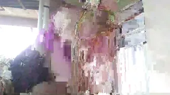 laylabrasil xxx video 02/17/2026