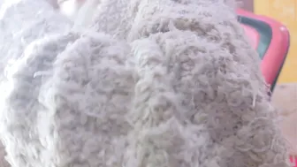 mia_collin_ 18-Feb-26 anal