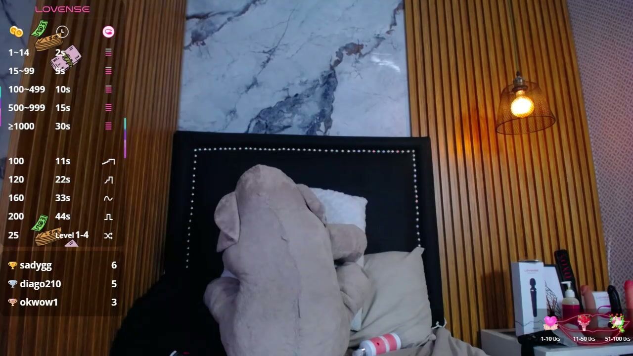 Kimmarshall stream 19-Feb-26