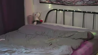 lina_n_kitty 19-Feb-2026