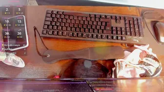mia869 02/20/2026 live cam video
