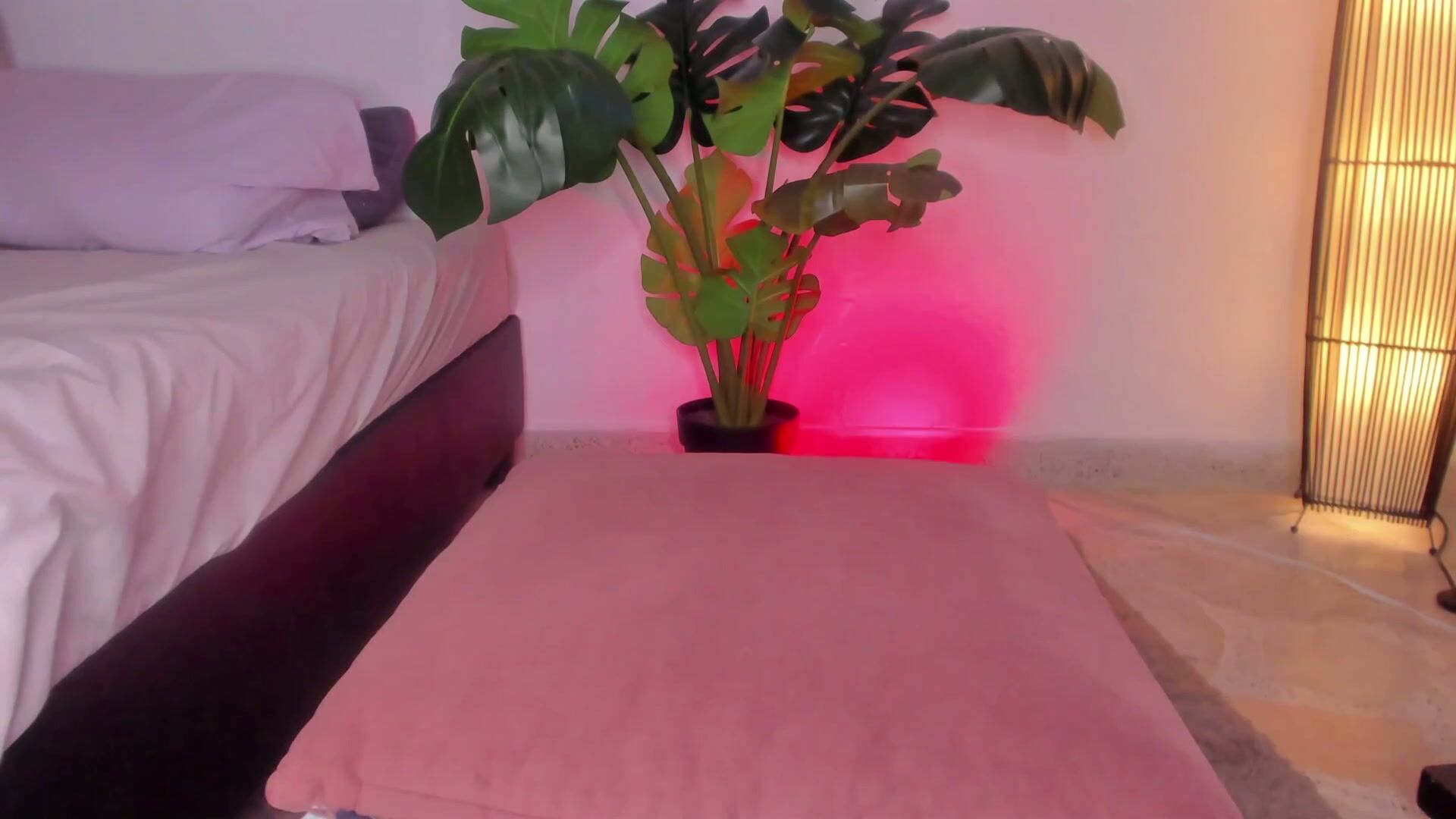 Sweet_kahia squirt - (02/21/2026)