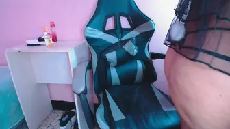 Silvymontero bigtits - 02/21/2026
