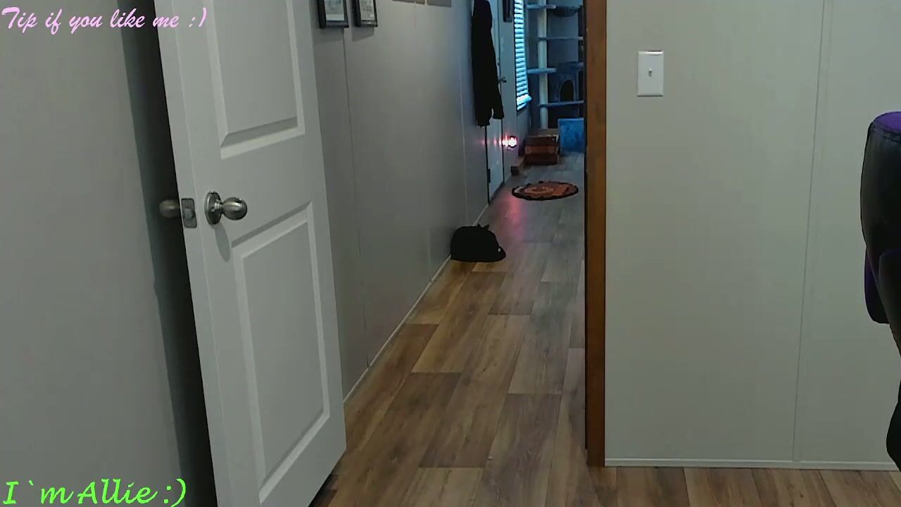 allie__kat webcam 02/22/2026