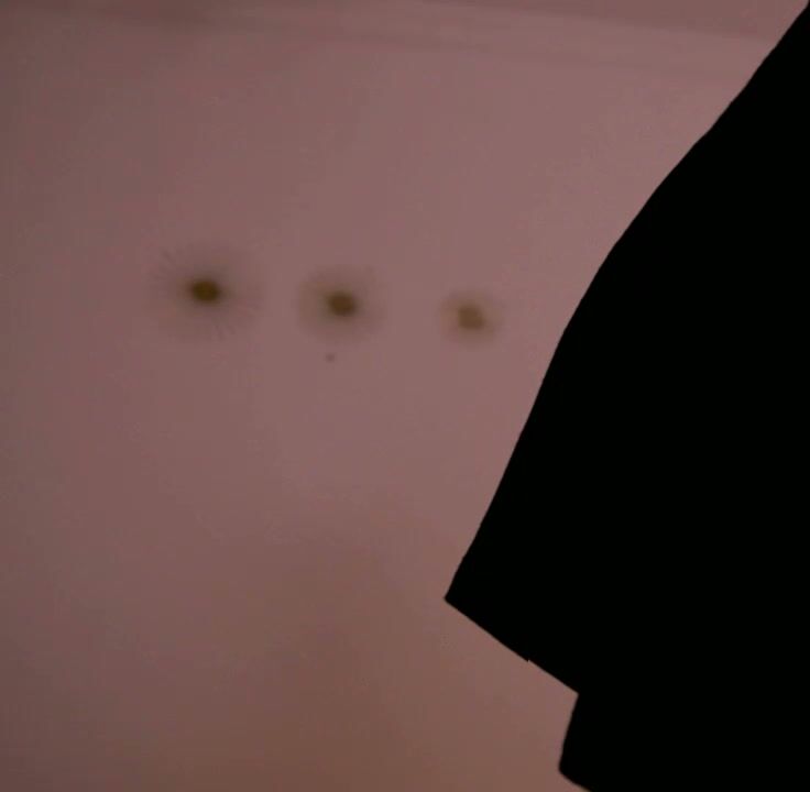 Dayanaro nude cam video 02-26-2026
