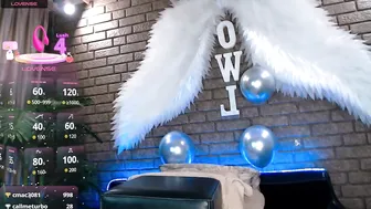 nicky_owl (02/27/2026)