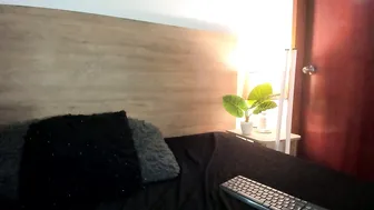 Bellanixs latina - (02/28/2026)