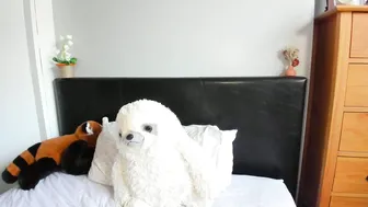 Naughtynerdygirl nude - (03-02-2026)