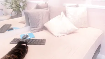 lucy_canel porn cam chat (03/03/2026)