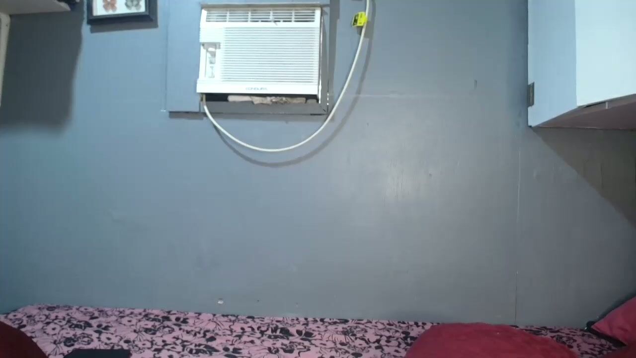 ziemichx 03/08/2026 nude chat
