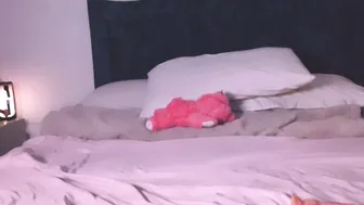 angelinhaa hot porn video 08 March 2026