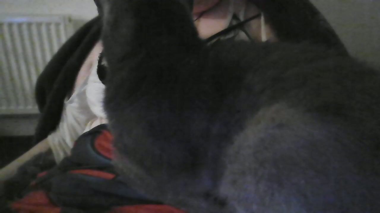 Queen_o_swords porn video chat (03/09/2026)