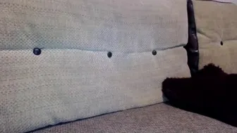 kitty_passions recorded nude video 8353