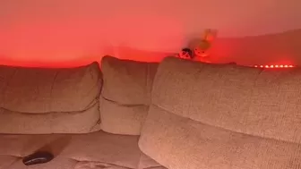 eddieds 2024-10-14 04:11:03