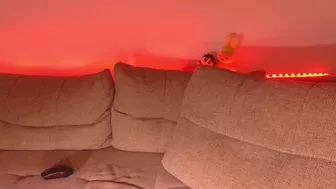 eddieds 2024-10-14 04:11:03