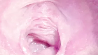 orchidekitty recorded nude video 806506