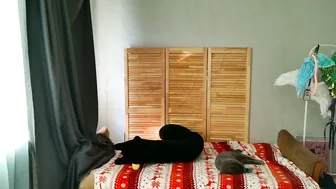 meowwmurr recorded nude video 808441