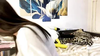 chiekodavanzo live cam video (03/12/2026)