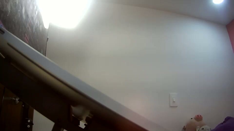 Gatubelahotxxx lovense - (03-16-2026)
